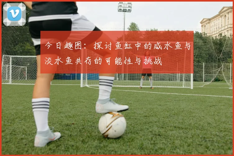 今日趣图：探讨鱼缸中的咸水鱼与淡水鱼共存的可能性与挑战