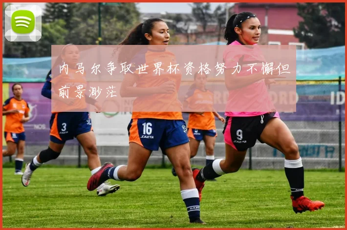 内马尔争取世界杯资格努力不懈但前景渺茫