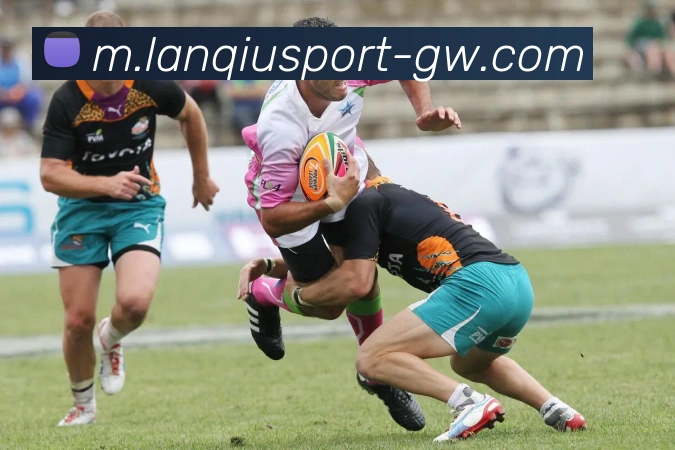 篮球赌注平台生态图